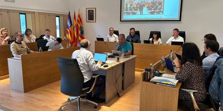 Ple celebrat avui. Foto: Consell Insular de Formentera