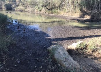 Estado que presentan la desembocadura del río y sa Font d'en Lluna. Fotos: PSOE Santa Eulària