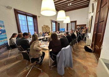 El Ayuntamiento de Sant Antoni y el Consell de Ibiza han participado en la reunión de la Subcomisión para el Fomento del Civismo en Zonas Turísticas