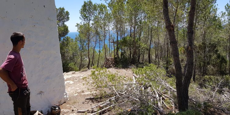 Actuación en la zona sa Creu d'en Ribes