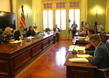 Imagen de la Comisión de Turismo, Comercio, Trabajo, Cultura y Deportes celebrada esta mañana en el Parlament