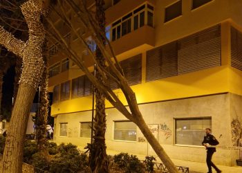 Árbol derribado. Fotos de Bombers d'Eivissa