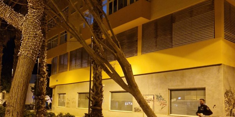 Árbol derribado. Fotos de Bombers d'Eivissa