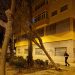Árbol derribado. Fotos de Bombers d'Eivissa