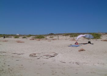Una zona de Migjorn. Foto Eduard Maluquer