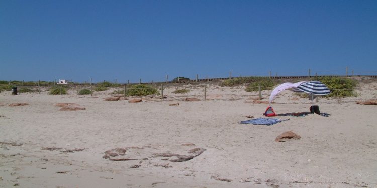 Una zona de Migjorn. Foto Eduard Maluquer