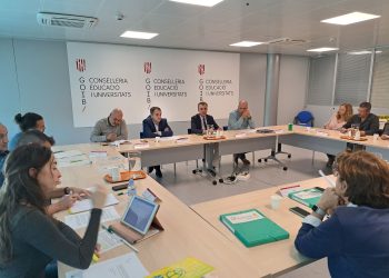 Imagen de la Mesa Sectorial de Enseñanza Pública. Foto: Conselleria de Educación