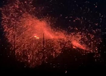 Pavesas que han salido volando del incendio del vertedero de Formentera. Imagen Consell /Bomberos Formentera