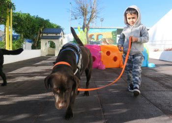 Actividades realizadas hoy en el CEIP Guillem de Montgrí. Fotos: Ayuntamiento de Sant Antoni