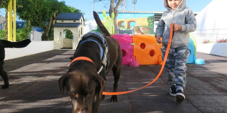 Actividades realizadas hoy en el CEIP Guillem de Montgrí. Fotos: Ayuntamiento de Sant Antoni
