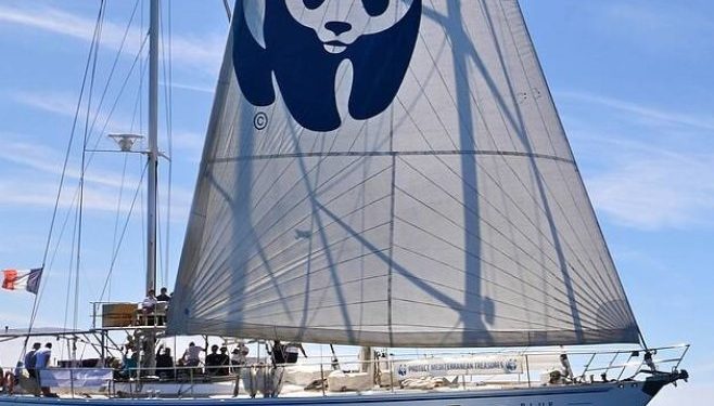 El Blue Panda, de WWF, en una imagen de sus redes sociales. FOTO: @WWFespana