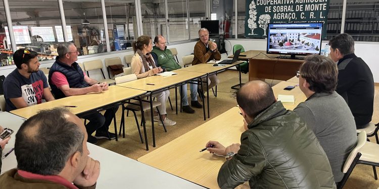 Imagen de una de las actividades del viaje. Foto: Consell de Ibiza