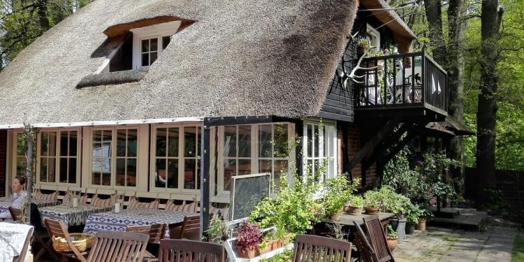 El Local, un restaurante de Hamburgo que sirve comida ibicenca. Fotos cedidas