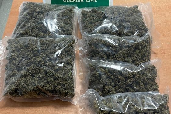 Los cogollos de marihuana, envasados en seis paquetes. Foto Guardia Civil