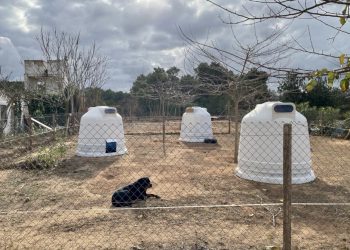 Los iglús transformados en refugios. Foto: Ayuntamiento de Sant Josep