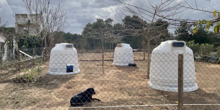 Los iglús transformados en refugios. Foto: Ayuntamiento de Sant Josep