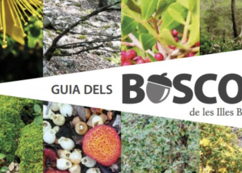 Detalle de la portada de la guía de los bosques de Baleares.