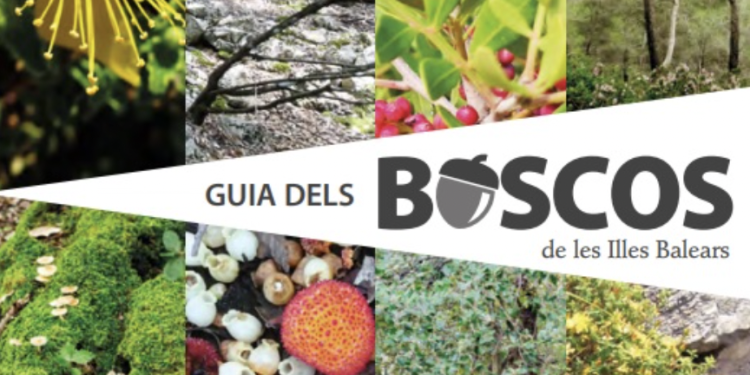 Detalle de la portada de la guía de los bosques de Baleares.