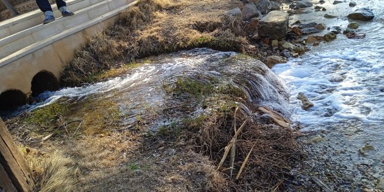 El agua manando a borbotones, va a parar al mar. Foto Amics de la Terra.