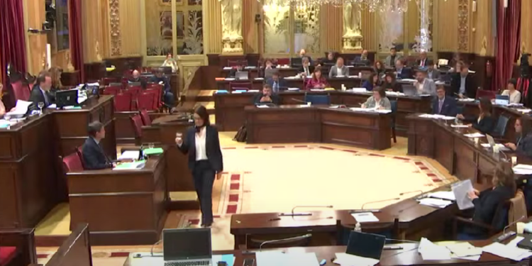 Un momento del debat que s'ha celebrat avui. Foto: Parlament balear