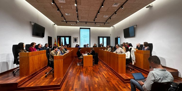 Pleno celebrado hoy. Foto: Ayuntamiento de Ibiza