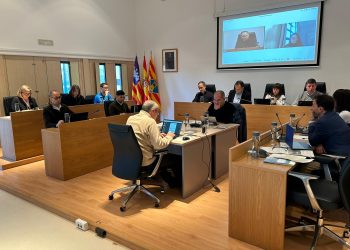 Imatge del ple celebrat avui. Foto: Consell Insular de Formentera