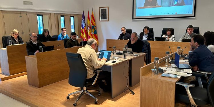 Imatge del ple celebrat avui. Foto: Consell Insular de Formentera