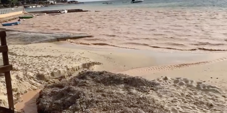 El vertido tiñó de marrón una amplia zona de la bahía de Talamanca.