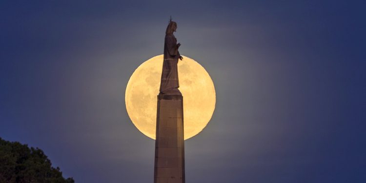 Detalle de la imagen de Paco Natera.