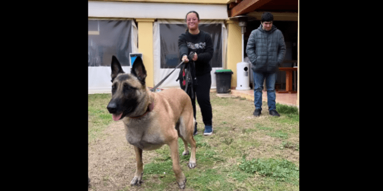 Una de las imágenes compartida por los bomberos en redes sociales. Foto: Bombers d'Eivissa