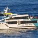 Imagen de un de los 'fast ferries' de la Serie Eco. Foto: Baleària