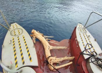 Imagen de restos retirados en la campaña de 2023. Foto: Govern balear