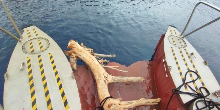 Imagen de restos retirados en la campaña de 2023. Foto: Govern balear