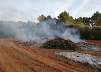 Imagen de la quema controlada que ha sido desatendida. Foto: Bombers d'Eivissa
