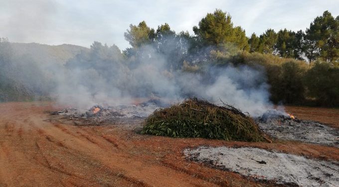 Imagen de la quema controlada que ha sido desatendida. Foto: Bombers d'Eivissa