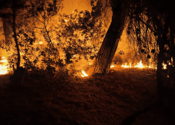 Imagen de archivo de un fuego extinguido en Sa Caleta. Foto: @Bombersdeivissa