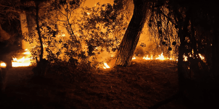 Imagen de archivo de un fuego extinguido en Sa Caleta. Foto: @Bombersdeivissa