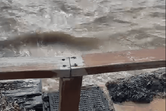 Aguas turbias y marrones en la playa de Talamanca.