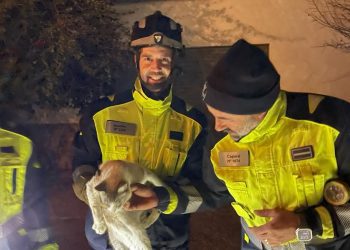 Los bomberos sostienen, sonrientes, al gatito rescatado ayer. Fotos Bombers d'Eivissa