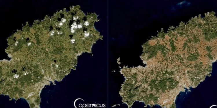 A la izquierda de la imagen, Ibiza el 1 de febrero de 2023, verde, y muy seca en la comparativa con la fotografía de la derecha del 1 de febrero de este 2024 tomada por el satélite Sentinel 2 de la Agencia Espacial Europea. Instituto Geográfico Nacional