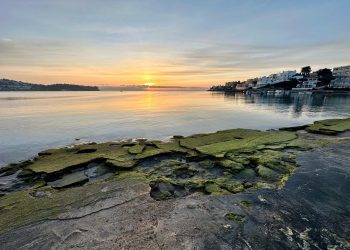 Espectacular imagen de Les Minves de gener en la playa de Talamanca de Ibiza. Foto P. N.