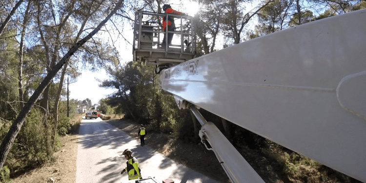 Los bomberos, arreglando los destrozos provocados por la caída de un árbol en Sant Mateu. Foto: @bombersdeivissa