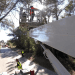 Los bomberos, arreglando los destrozos provocados por la caída de un árbol en Sant Mateu. Foto: @bombersdeivissa
