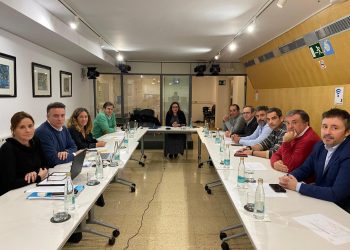 Reunión del Comité Autonómico de Enfermedades Infecciosas, reunido hoy. Foto: Govern balear