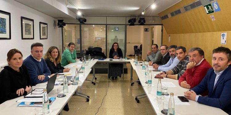 Reunión del Comité Autonómico de Enfermedades Infecciosas, reunido hoy. Foto: Govern balear