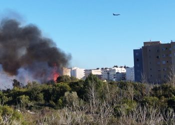 Incendio en ses Feixes, declarado esta tarde. Fotos: Noudiari