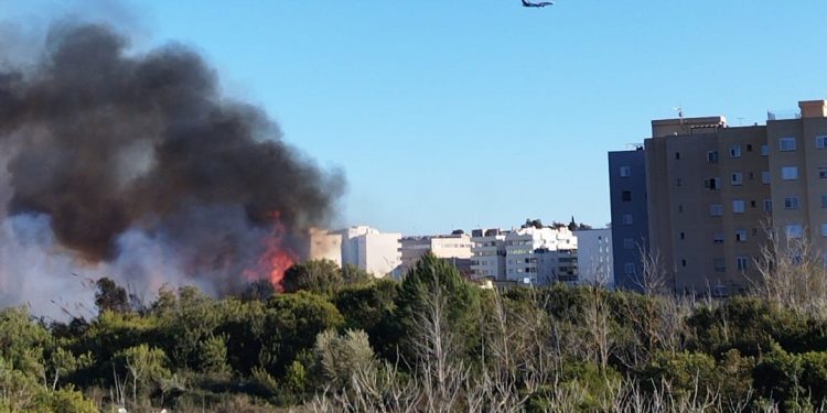Incendio en ses Feixes, declarado esta tarde. Fotos: Noudiari