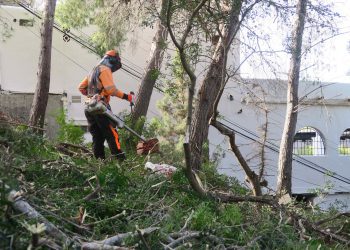 Puesta en marcha del plan en la zona de Cala Salada. Fotos: Ayuntamiento de Sant Antoni