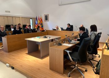 Pleno extraordinario celebrado hoy. Foto: Consell Insular de Formentera