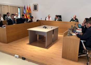 Imagen del pleno celebrado hoy. Foto: Consell Insular de Formentera